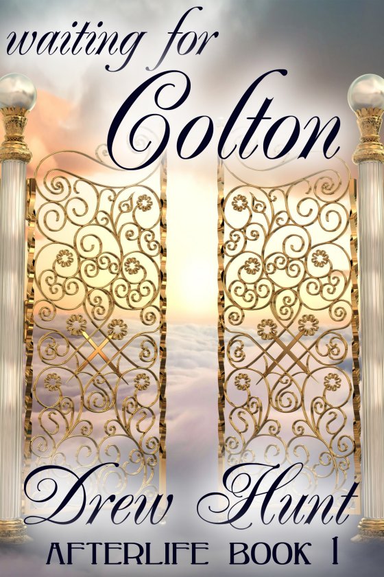 Afterlife Book 1: Waiting for Colton