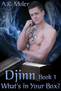 Djinn Book 1: What's in Your Box?