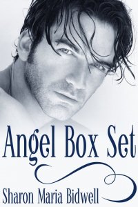 Angel Box Set