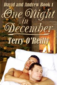 David and Andrew Book 1: One Night in December [Print]