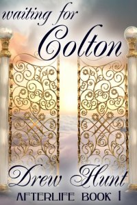 Afterlife Book 1: Waiting for Colton