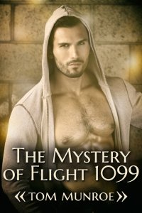 The Mystery of Flight 1099