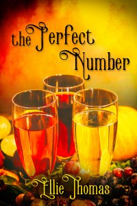 The Perfect Number