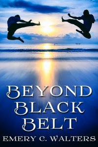Beyond Black Belt