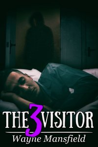 The Visitor 3