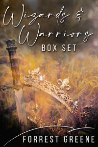 Wizards and Warriors Box Set