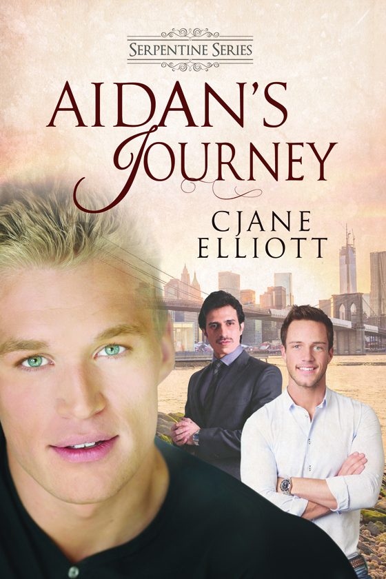 <i>Aidan’s Journey</i> by CJane Elliott