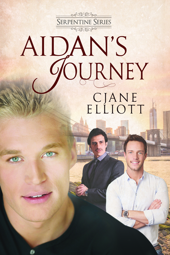 Aidan's Journey [Print]