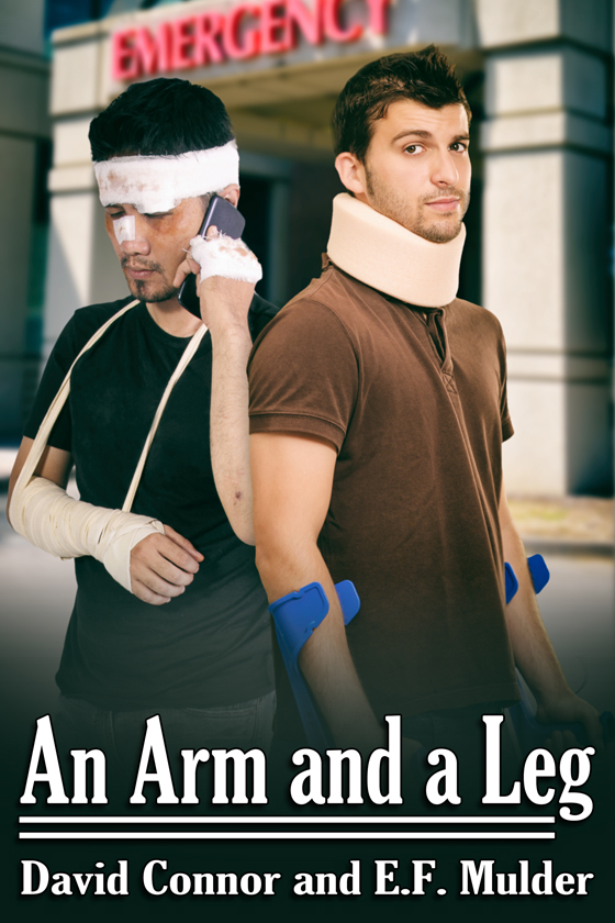 <i>An Arm and a Leg</i> by David Connor and E.F. Mulder