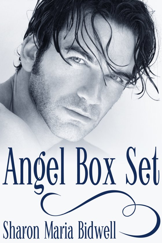 <i>Angel Box Set</i> by Sharon Maria Bidwell