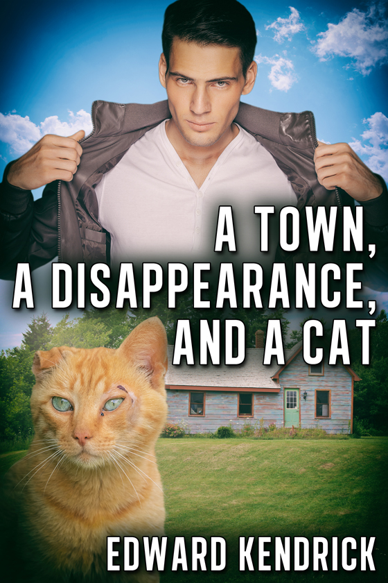 <i>A Town, a Disappearance, and a Cat</i> by Edward Kendrick