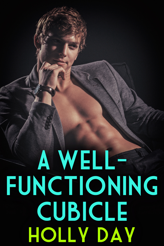 <i>A Well-Functioning Cubicle</i> by Holly Day