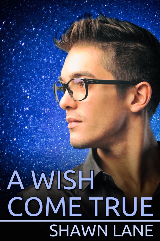 <i>A Wish Come True</i> by Shawn Lane