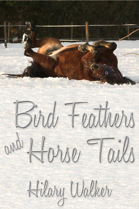 Bird Feathers and Horse Tails - Click Image to Close