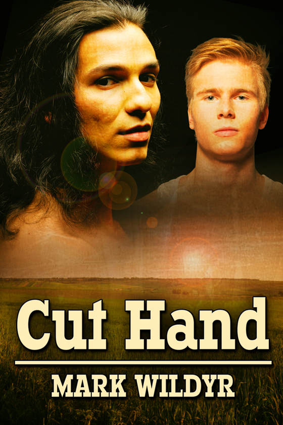 <i>Cut Hand</i> by Mark Wildyr