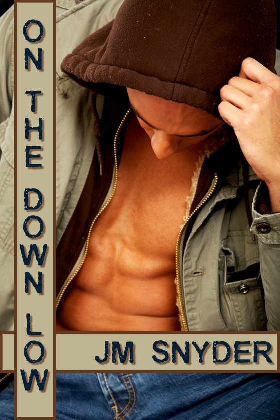 On the Down Low by J.M. Snyder