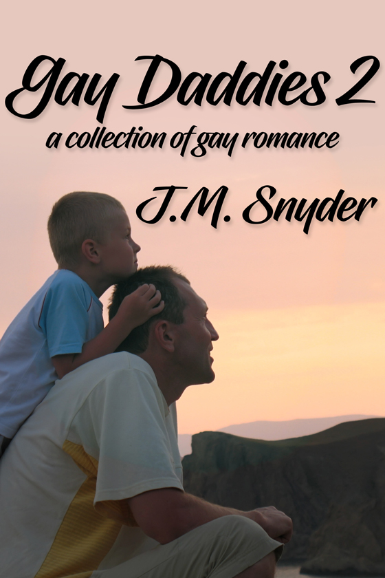 <i>Gay Daddies 2 Box Set</i> by J.M. Snyder