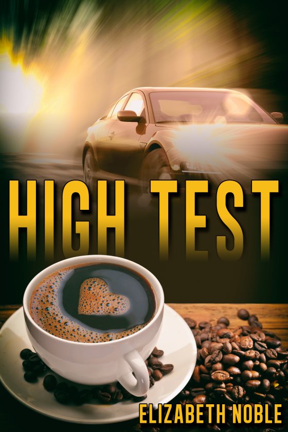 <i>High Test</i> by Elizabeth Noble