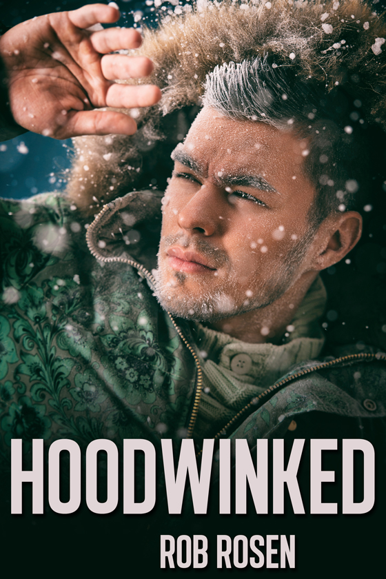 <i>Hoodwinked</i> by Rob Rosen