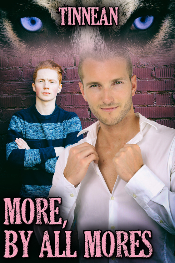 <i>More, by All Mores</i> by Tinnean