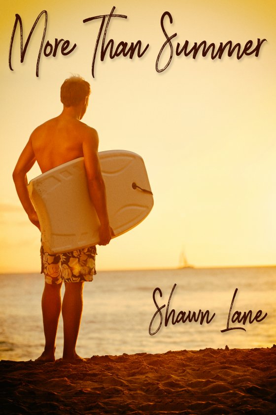 <i>More Than Summer</i> by Shawn Lane