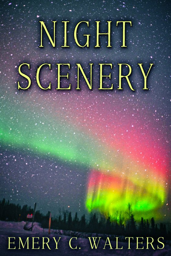 <i>Night Scenery</i> by Emery C. Walters