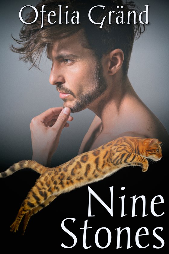 <i>Nine Stones</i> by Ofelia Gränd