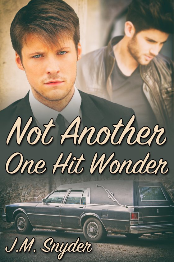 Not Another One Hit Wonder by J.M. Snyder