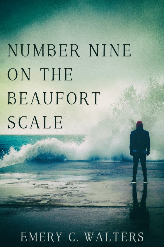 <i>Number Nine on the Beaufort Scale</i> by Emery C. Walters