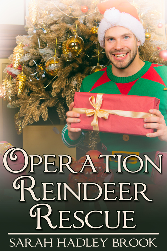 <i>Operation Reindeer Rescue</i> by Sarah Hadley Brook
