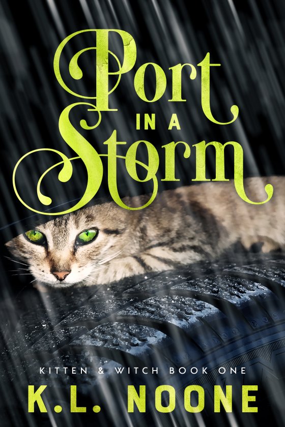 <i>Port in a Storm</i> by K.L. Noone