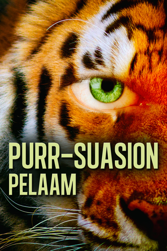 Purr-suasion - Click Image to Close