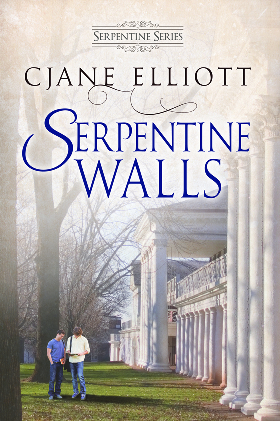 <i>Serpentine Walls</i> by CJane Elliott