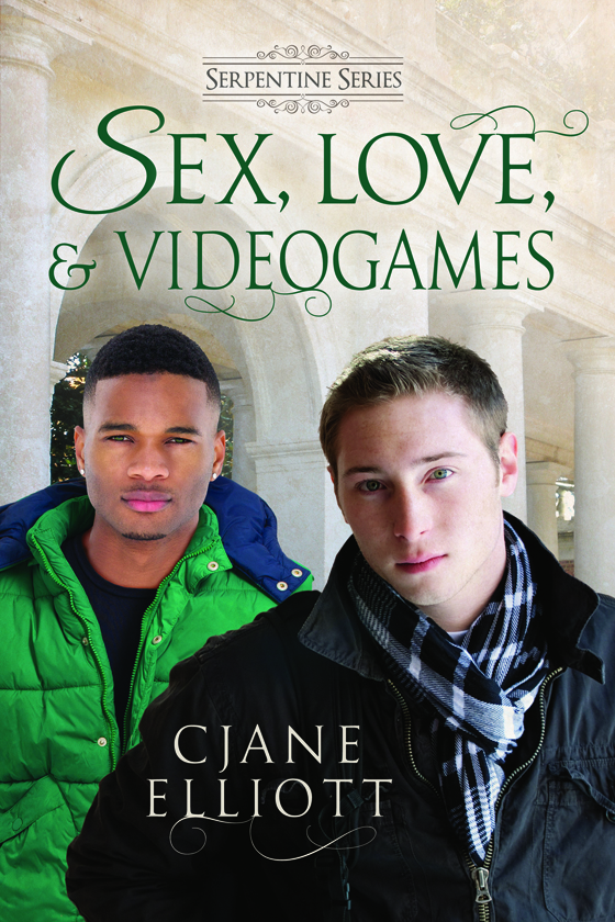 <i>Sex, Love, and Videogames</i> by CJane Elliott