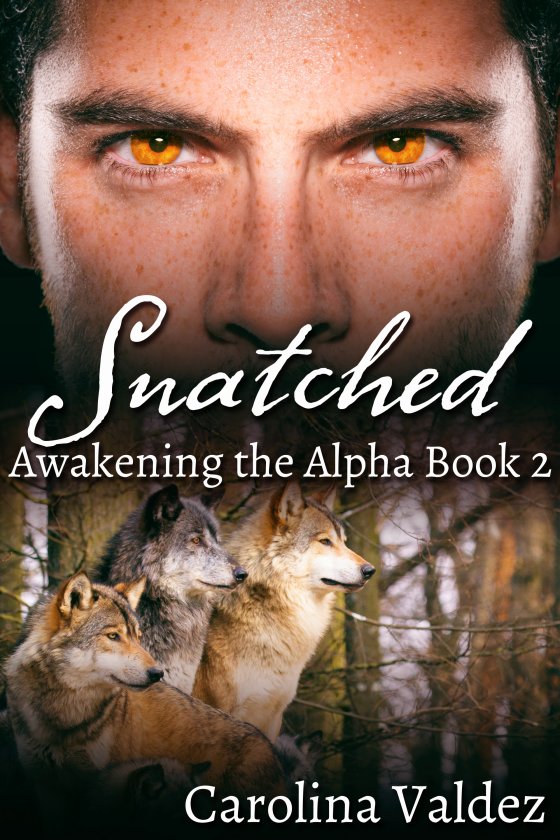 <i>Snatched</i> by Carolina Valdez