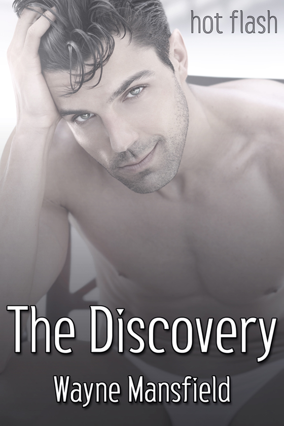 <i>The Discovery</i> by Wayne Mansfield