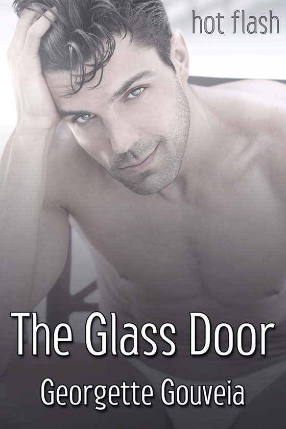 <i>The Glass Door</i> by Georgette Gouveia