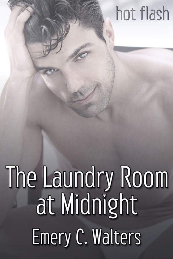<i>The Laundry Room at Midnight</i> by Emery C. Walters