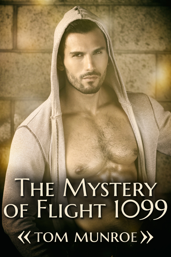 <i>The Mystery of Flight 1099</i> by Tom Munroe