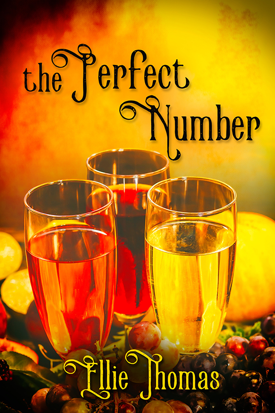 The Perfect Number