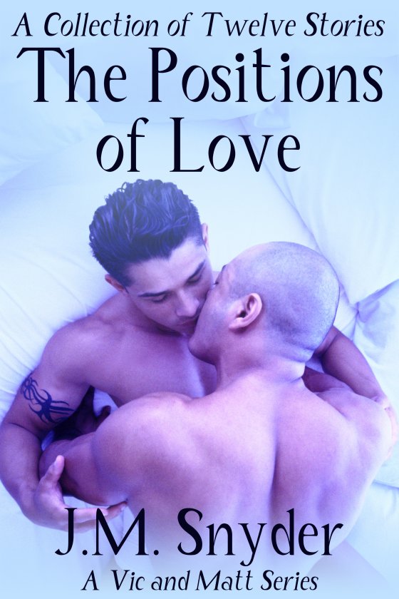 The Positions of Love Box Set by J.M. Snyder
