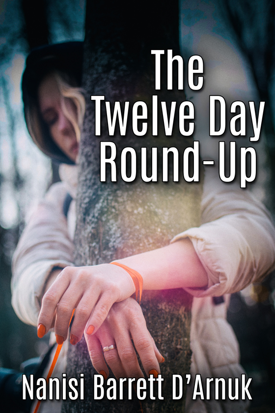 <i>The Twelve Day Round-Up</i> by Nanisi Barrett D’Arnuk
