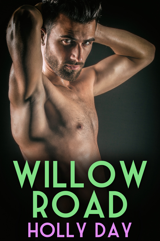 <i>Willow Road</i> by Holly Day <i>Willow Road</i> by Holly Day