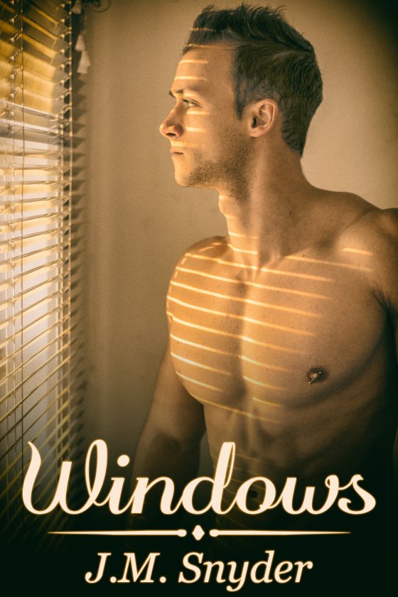 Windows by J.M. Snyder